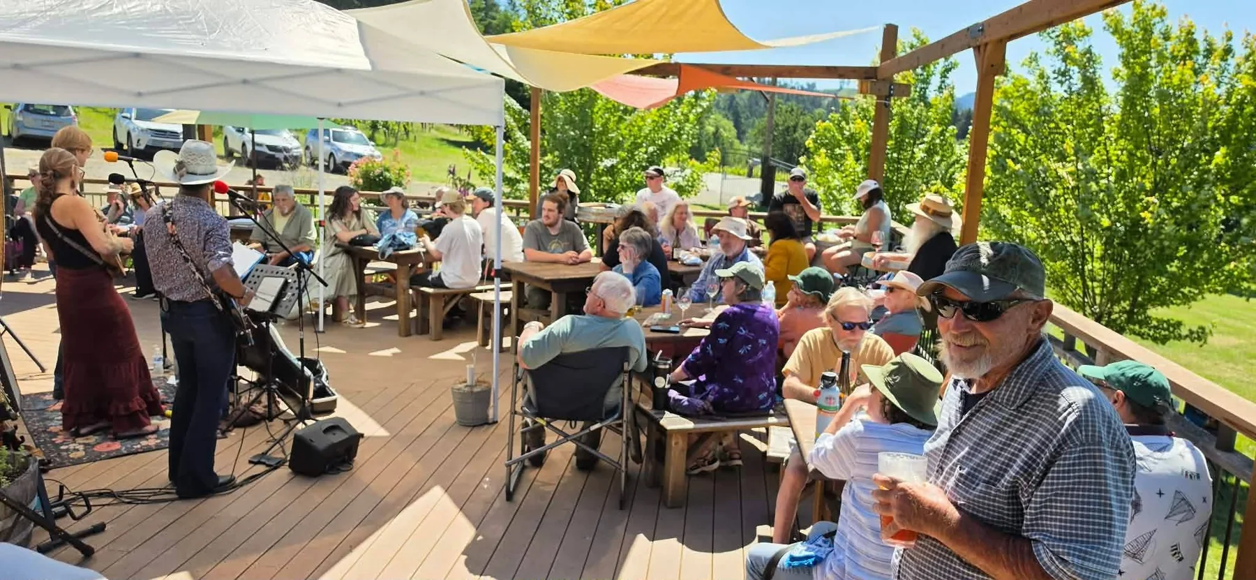 A large outdoor audience watching Tree House Trio perform