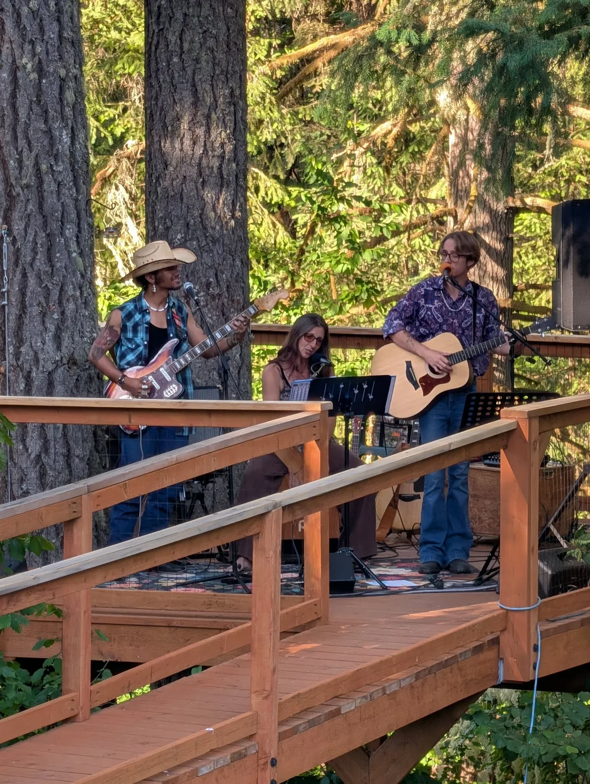 Tree House Trio performing on a wooden platform among tall trees